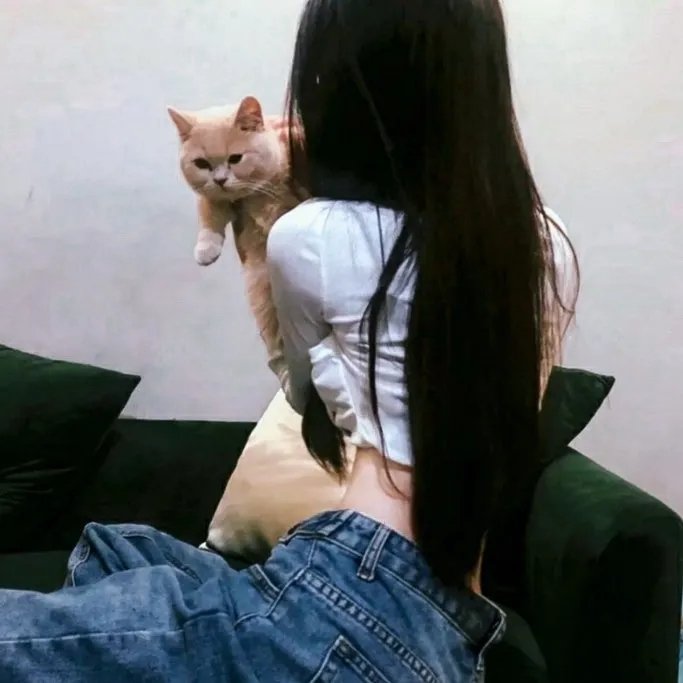 大唐女法医
